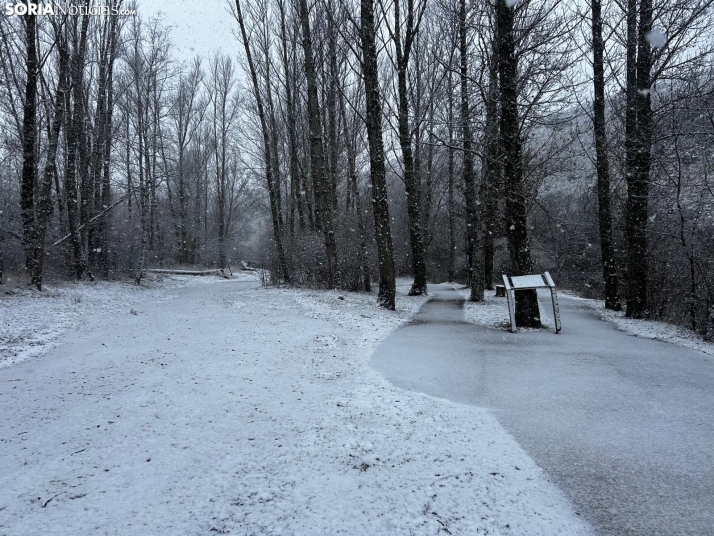 Una imagen de la nevada esta mañana de miércoles. /SN