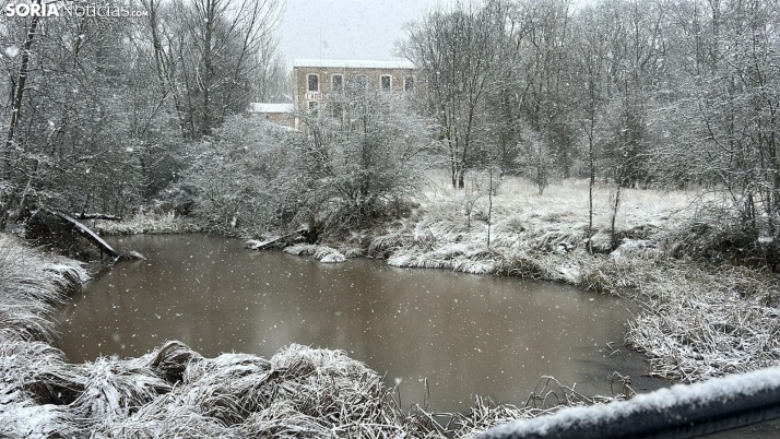 FOTOS | La nieve blanquea Soria