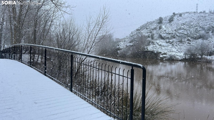 FOTOS | La nieve blanquea Soria