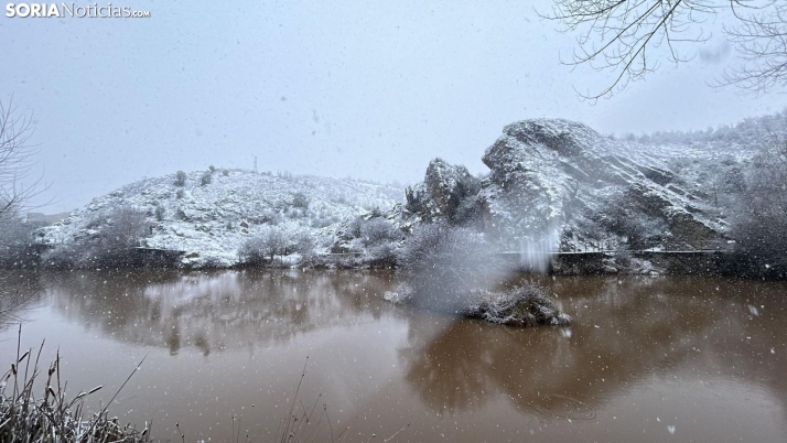 FOTOS | La nieve blanquea Soria