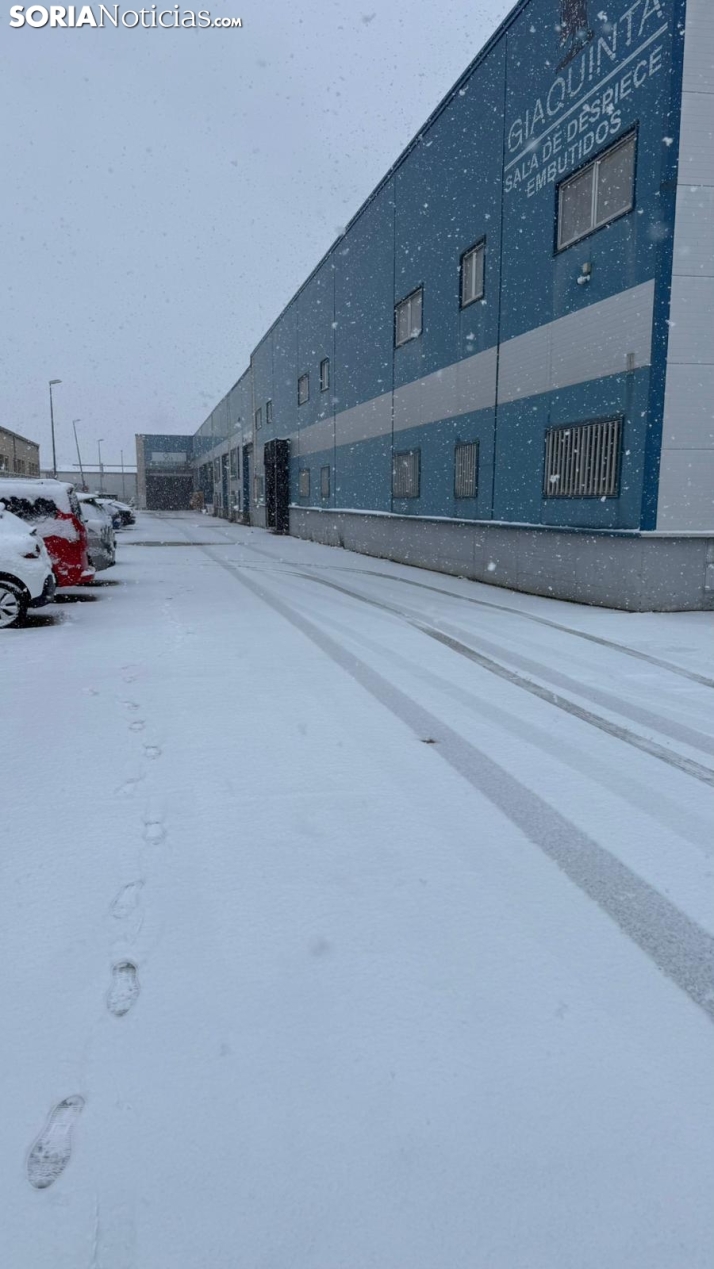 FOTOS | La nieve blanquea Soria