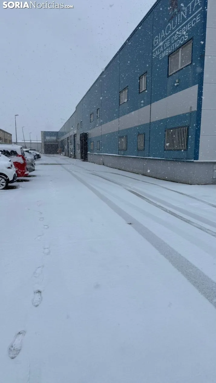 FOTOS | La nieve blanquea Soria