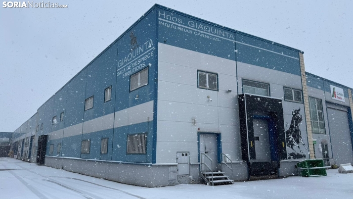 FOTOS | La nieve blanquea Soria