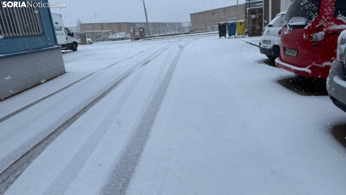 FOTOS | La nieve blanquea Soria
