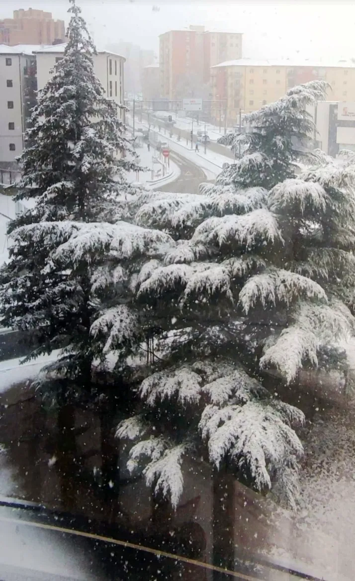 FOTOS | La nieve blanquea Soria