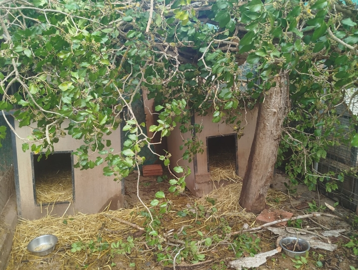 El viento causa graves destrozos en la protectora Redención