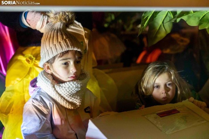 Cabalgata de Reyes 2026./ Viksar Fotografía