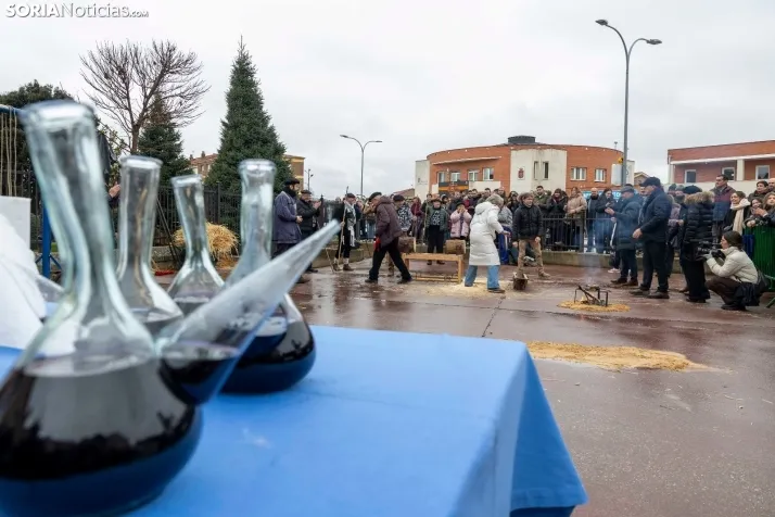 Matanzas del Virrey 2026./ Viksar Fotografía