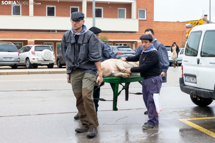 Matanzas del Virrey 2026./ Viksar Fotografía