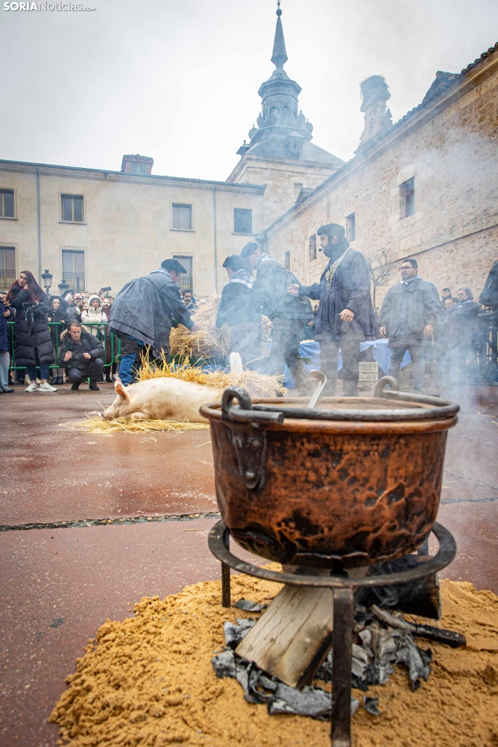 Matanzas del Virrey 2026./ Viksar Fotografía