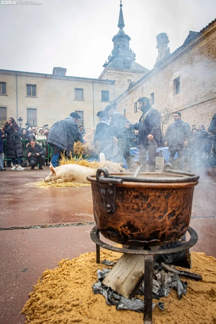 Matanzas del Virrey 2026./ Viksar Fotografía