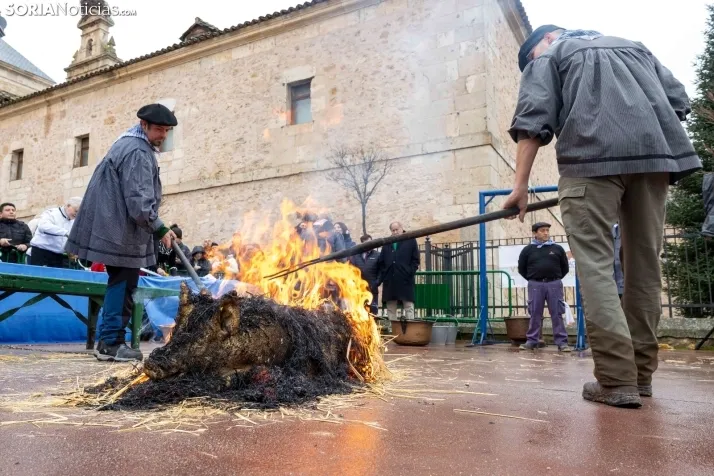 Matanzas del Virrey 2026./ Viksar Fotografía