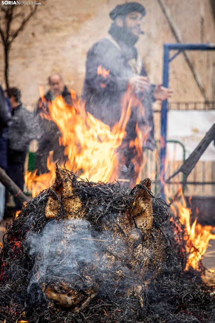 Matanzas del Virrey 2026./ Viksar Fotografía