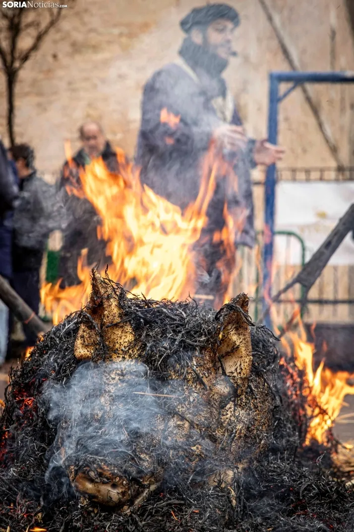 Matanzas del Virrey 2026./ Viksar Fotografía