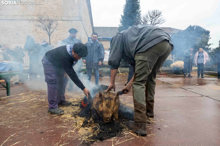 Matanzas del Virrey 2026./ Viksar Fotografía