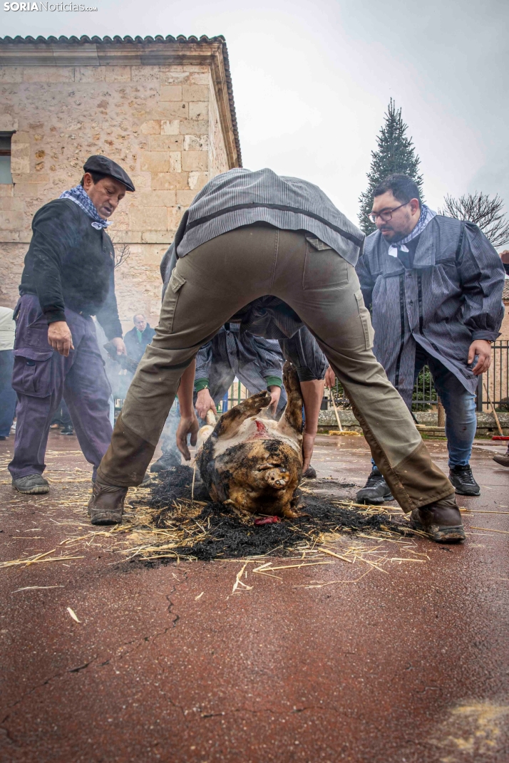 Matanzas del Virrey 2026./ Viksar Fotografía