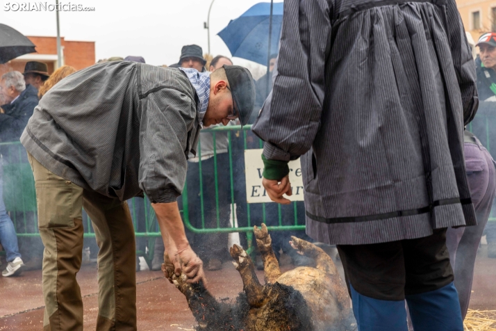 Matanzas del Virrey 2026./ Viksar Fotografía