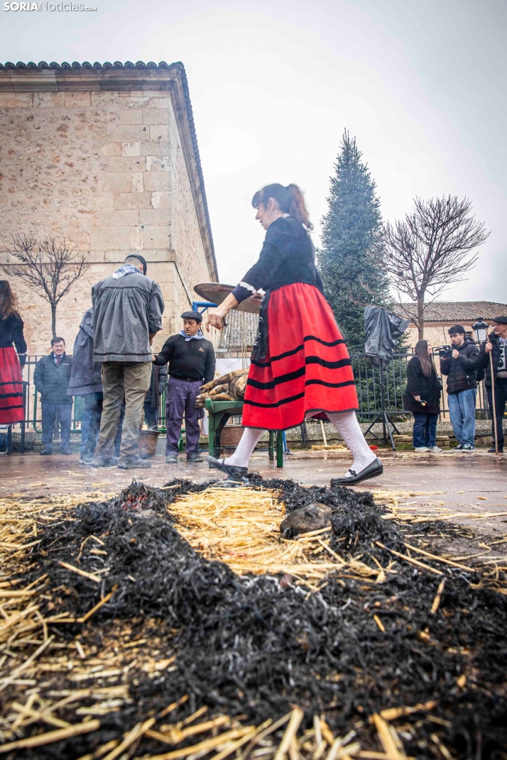 Matanzas del Virrey 2026./ Viksar Fotografía