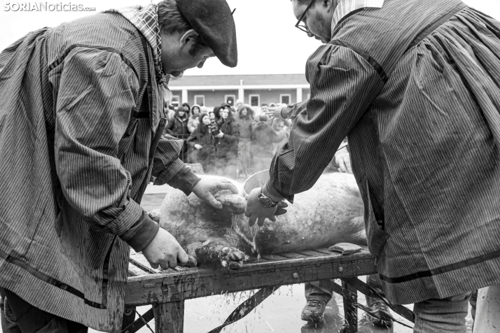 Matanzas del Virrey 2026./ Viksar Fotografía