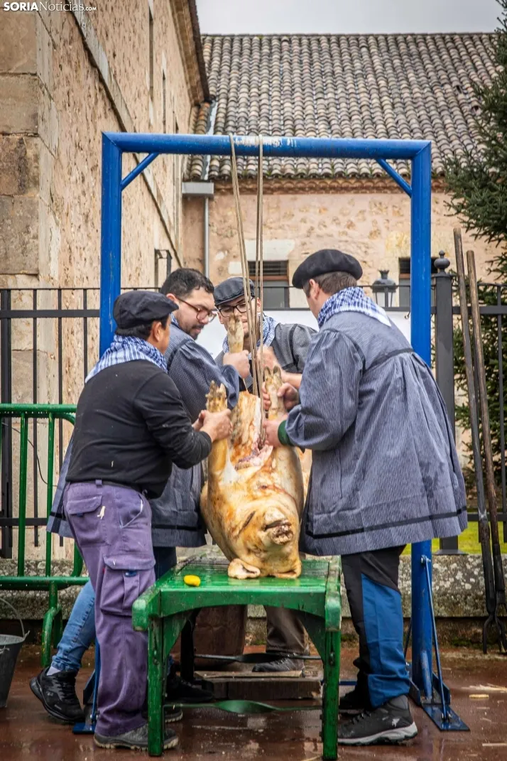 Matanzas del Virrey 2026./ Viksar Fotografía