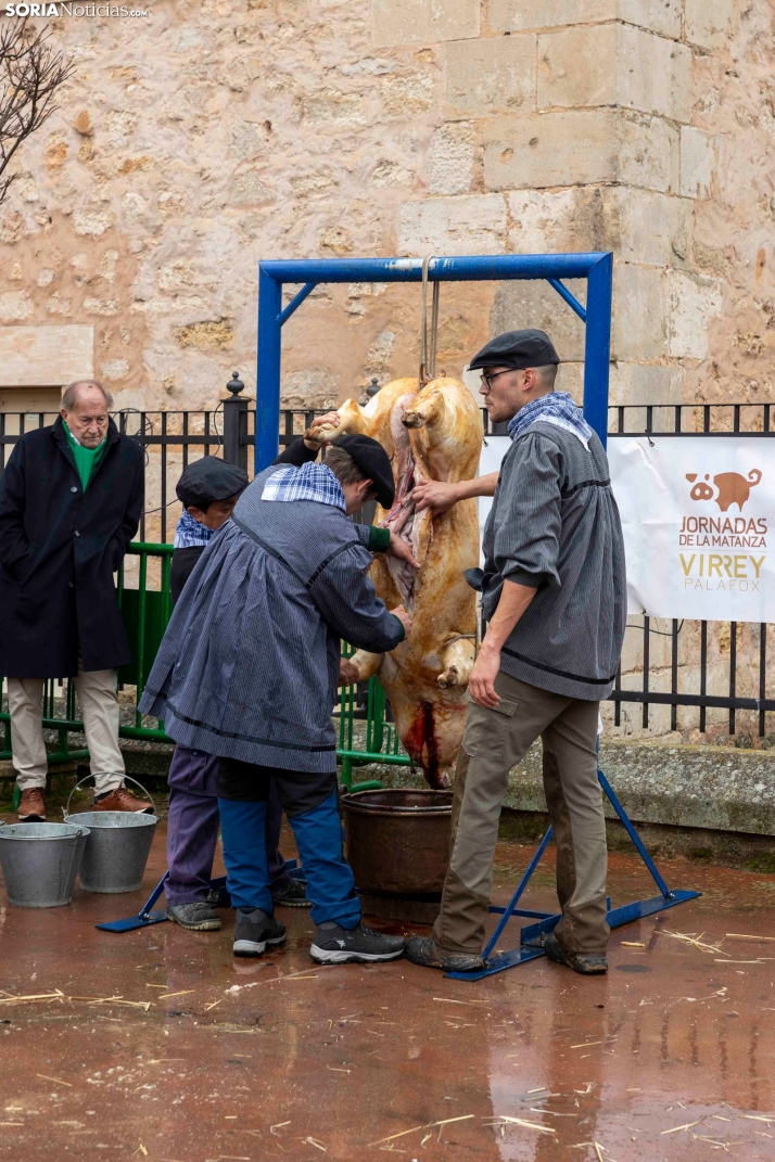 Matanzas del Virrey 2026./ Viksar Fotografía