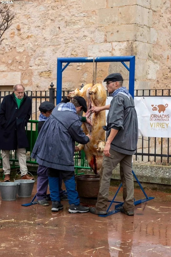 Matanzas del Virrey 2026./ Viksar Fotografía