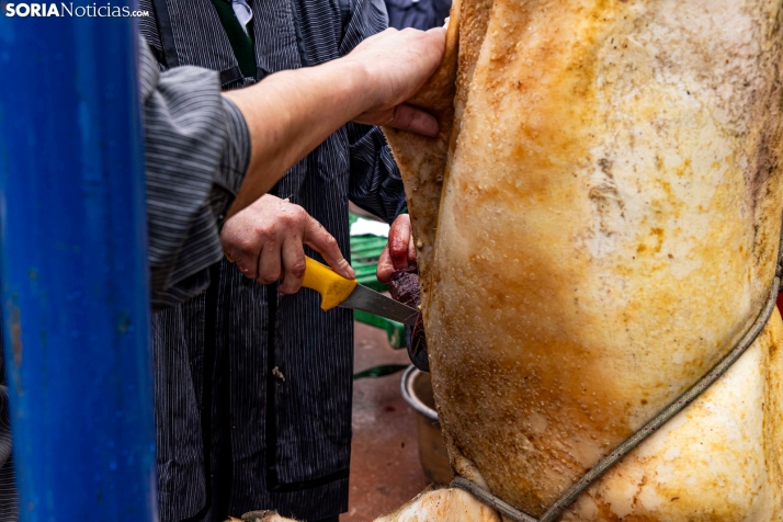 Matanzas del Virrey 2026./ Viksar Fotografía