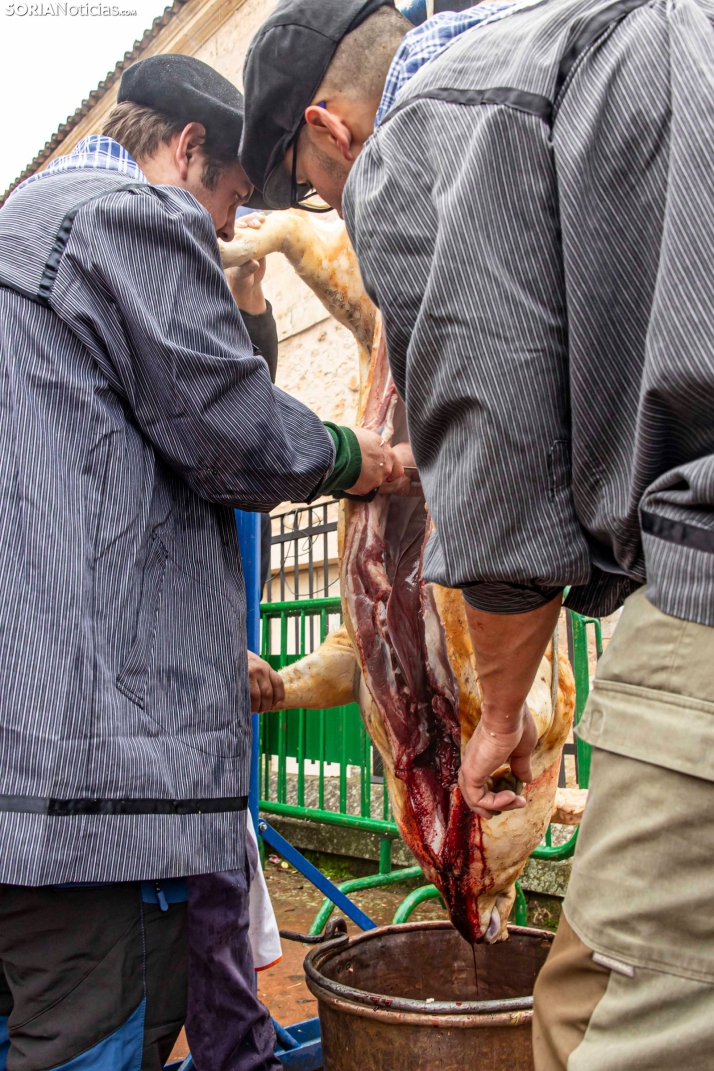 Matanzas del Virrey 2026./ Viksar Fotografía