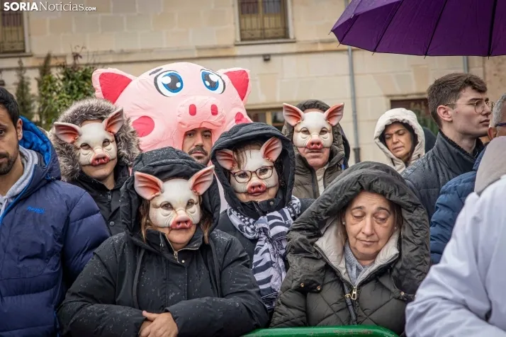 Matanzas del Virrey 2026./ Viksar Fotografía
