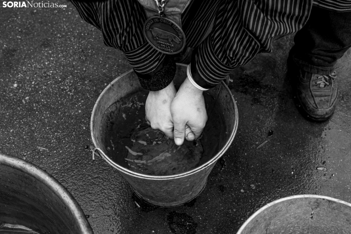 Matanzas del Virrey 2026./ Viksar Fotografía