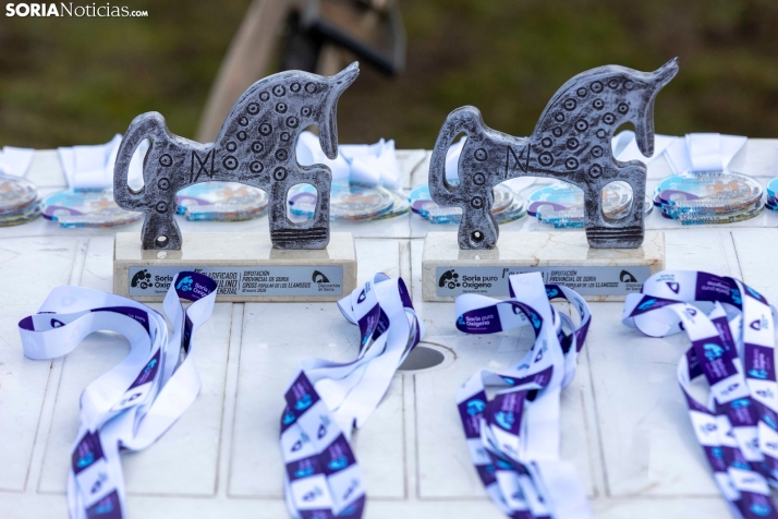 Los Llamosos 2026./ Viksar Fotografía