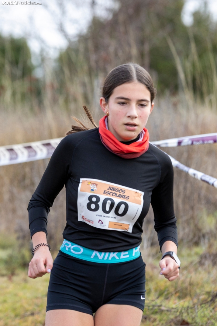 Los Llamosos 2026./ Viksar Fotografía