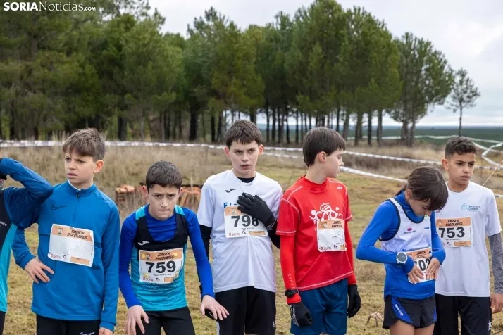 Los Llamosos 2026./ Viksar Fotografía
