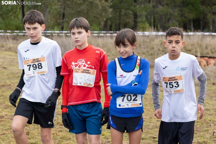 Los Llamosos 2026./ Viksar Fotografía