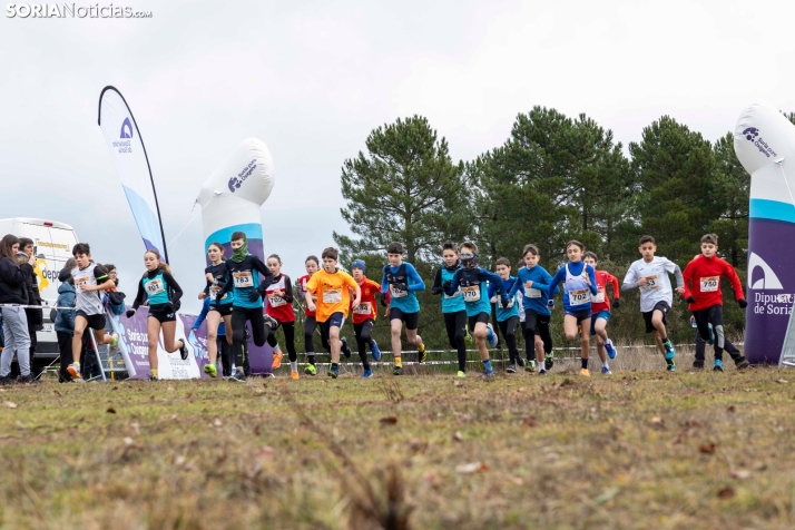 Los Llamosos 2026./ Viksar Fotografía