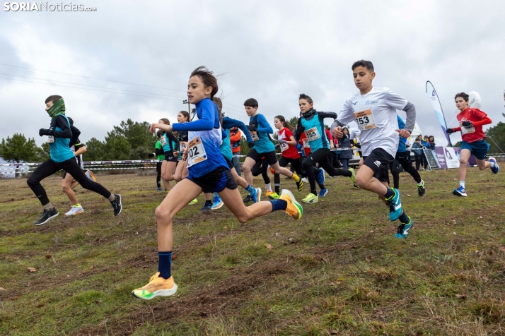 Los Llamosos 2026./ Viksar Fotografía