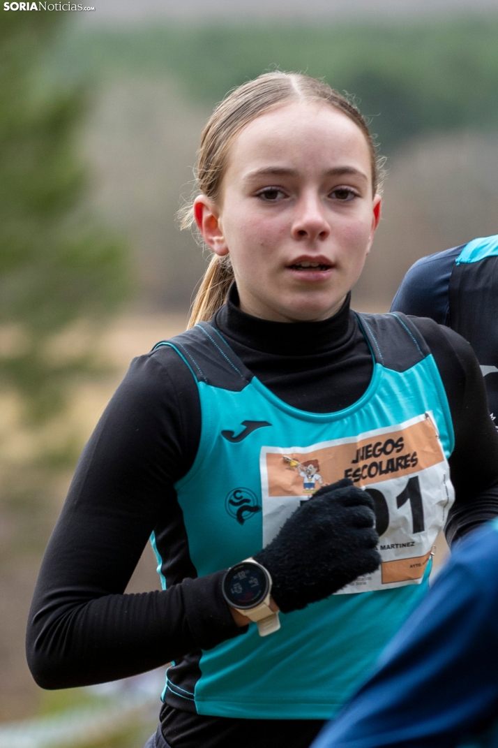 Los Llamosos 2026./ Viksar Fotografía