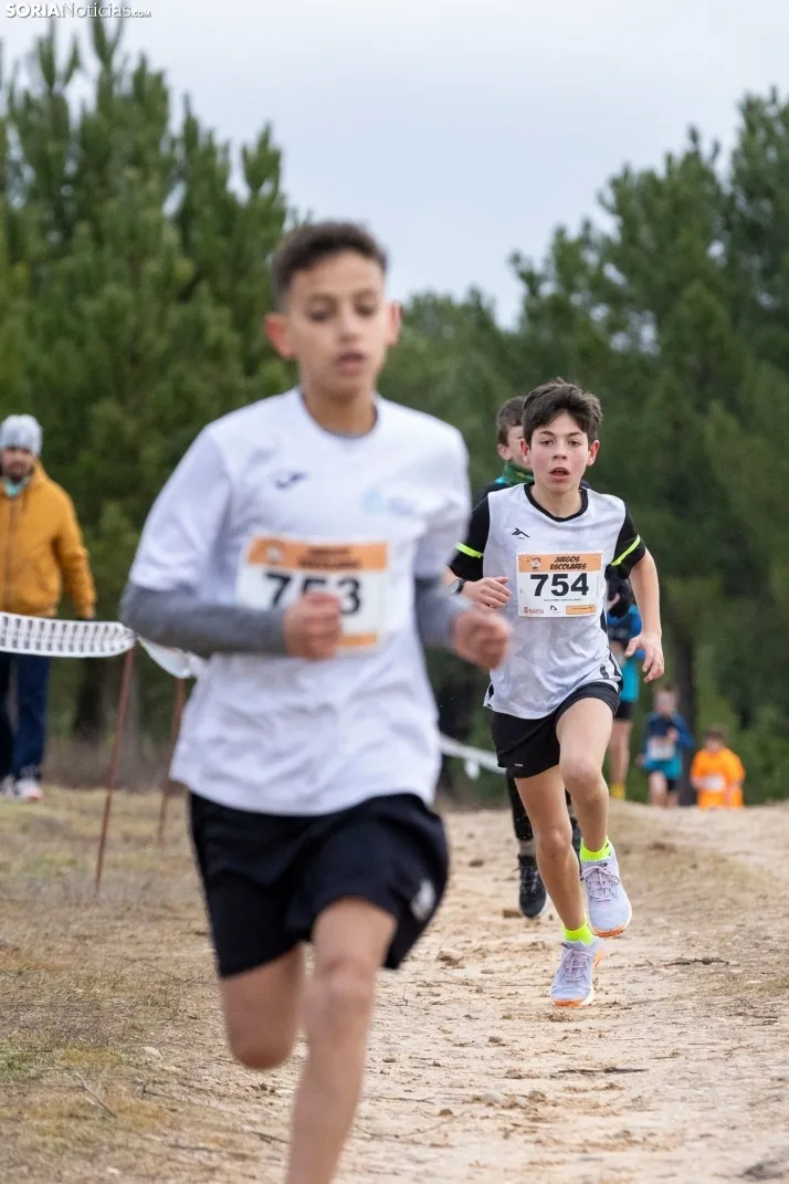 Los Llamosos 2026./ Viksar Fotografía