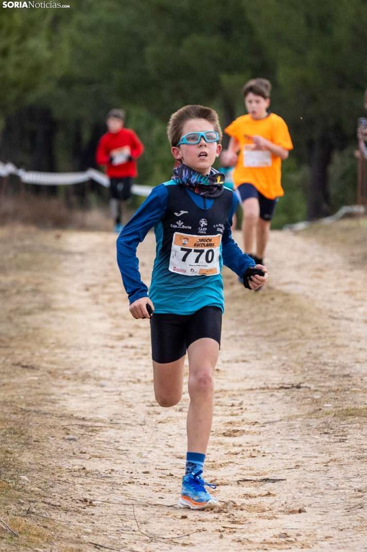 Los Llamosos 2026./ Viksar Fotografía