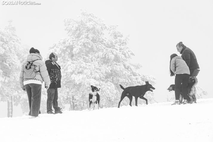 Jornada invernal en Santa Inés 2025./ Viksar Fotografía