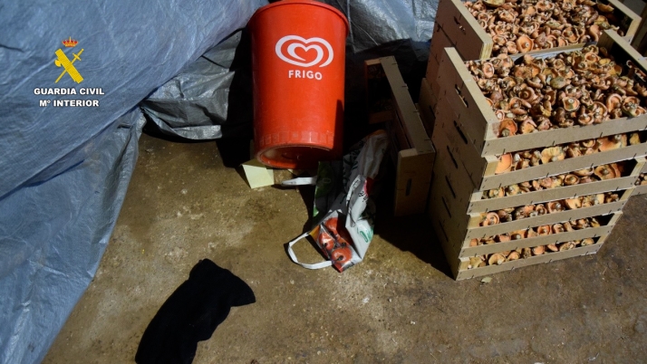 Imagen de lo sustraído.