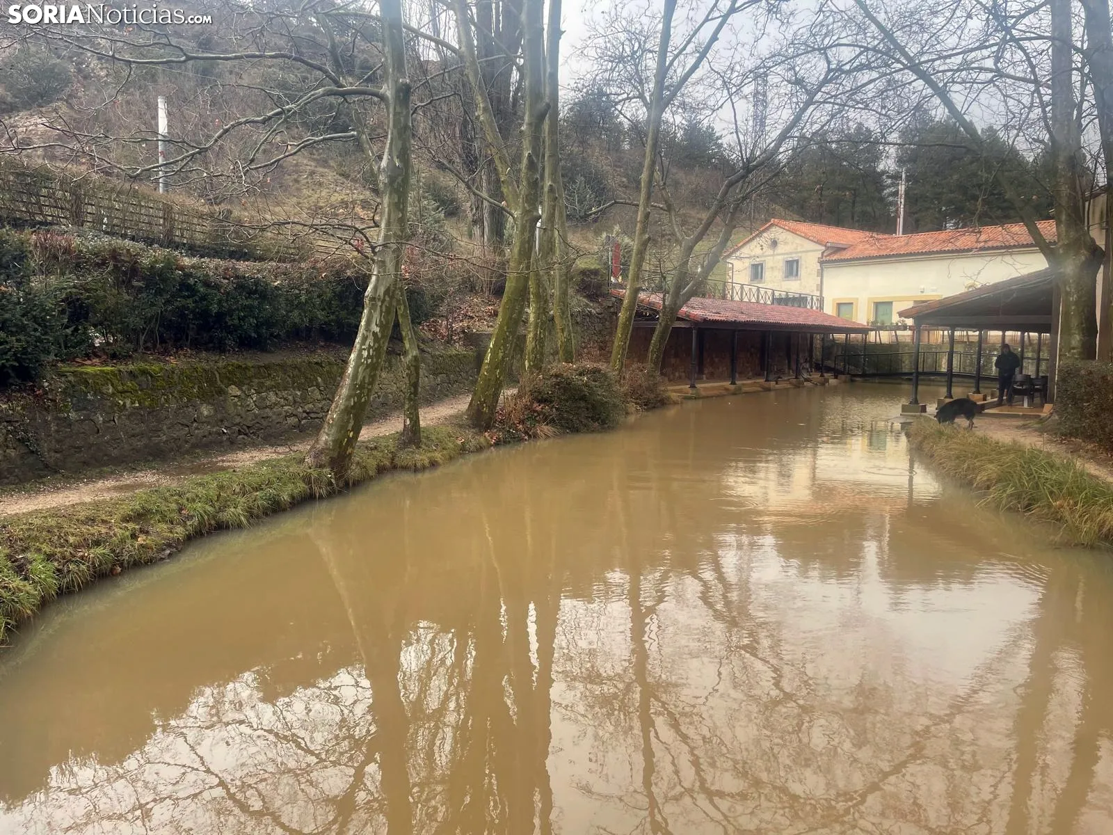 Imágenes del Duero a su paso por la capital soriana. /SN