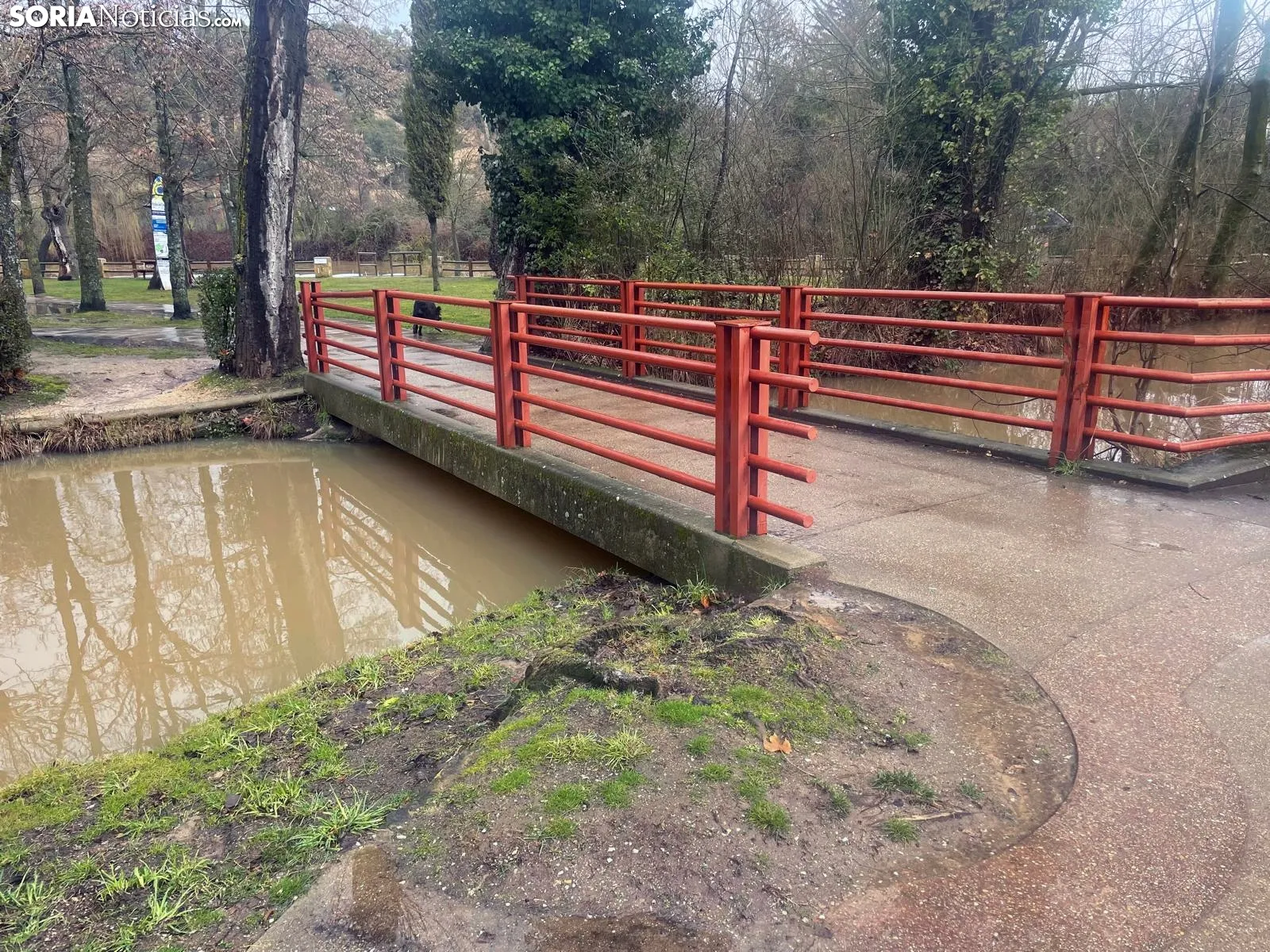 Imágenes del Duero a su paso por la capital soriana. /SN