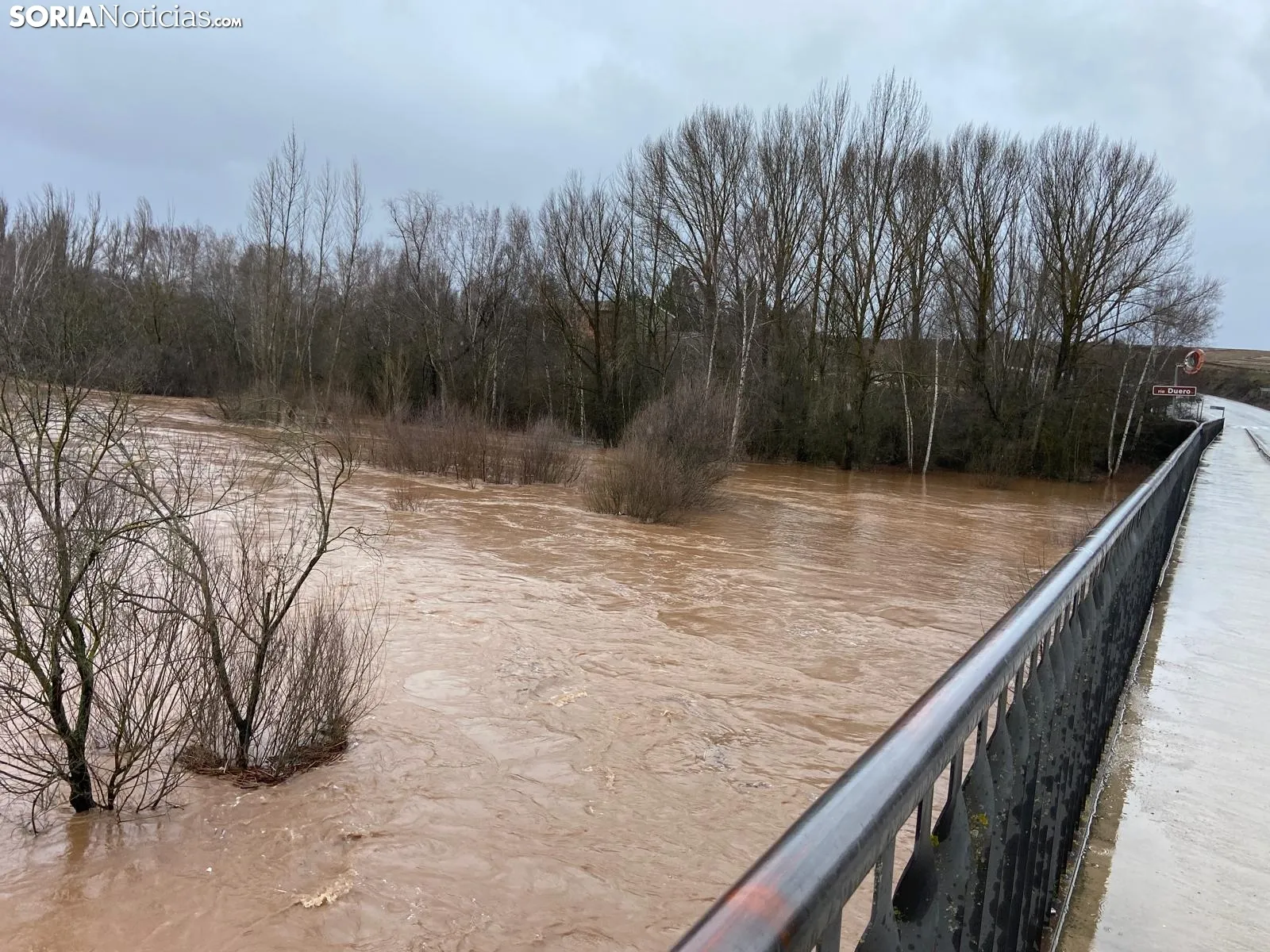 Una imagen del Duero en Garray hoy, aguas abajo de la unión con el Tera. /María Ferrer