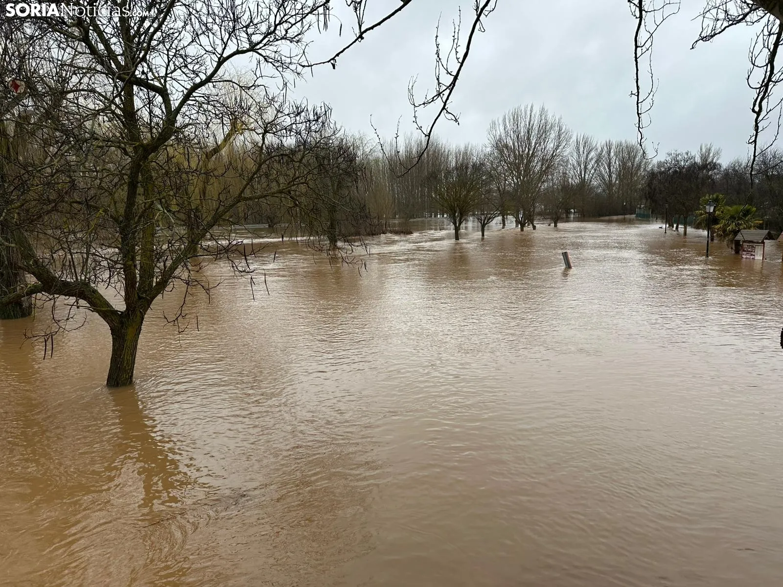Foto 2 - El PP de Soria estalla con la CHD por la gesti&oacute;n de las inundaciones
