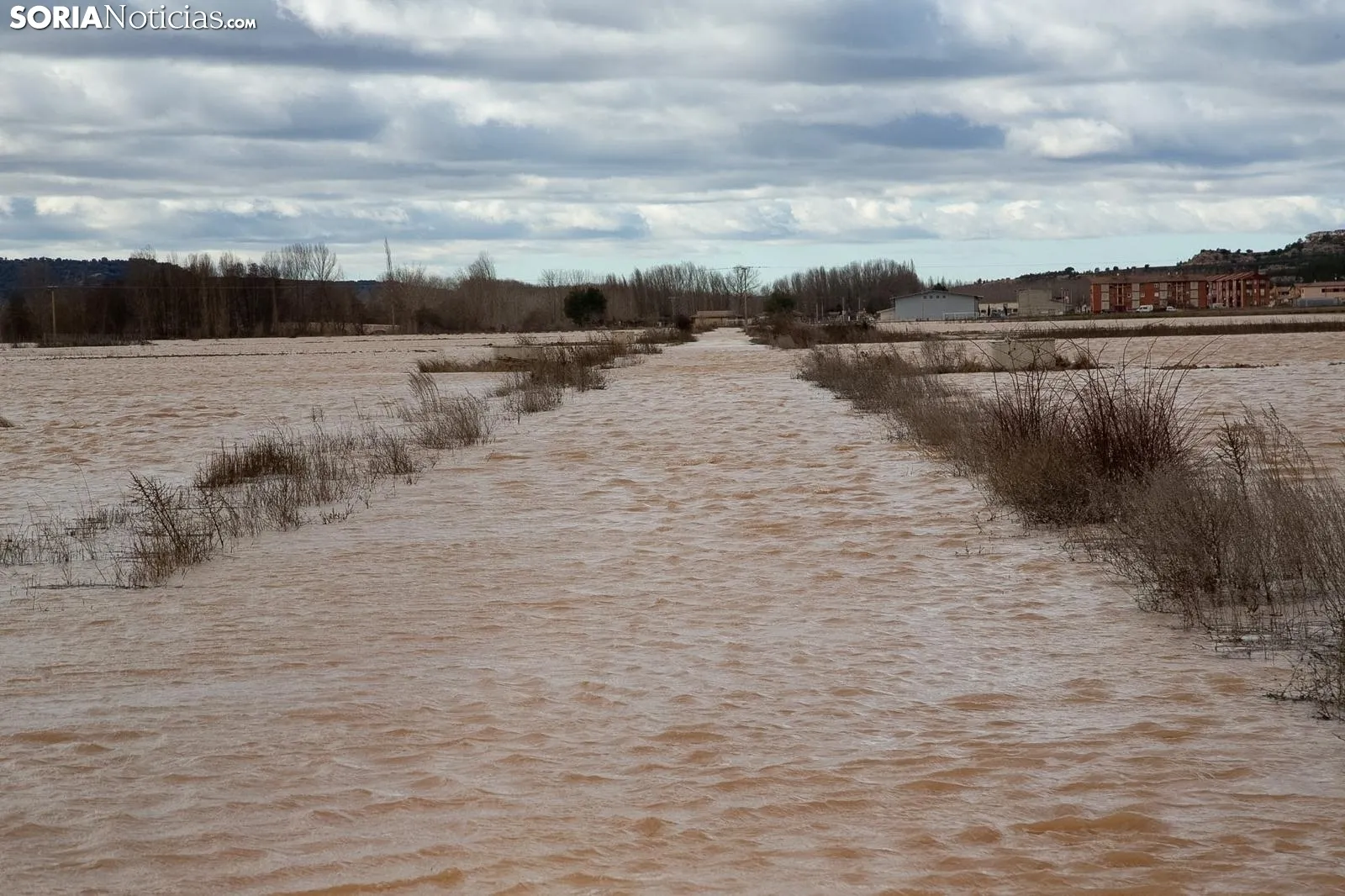 Una imagen de Langa de Duero este sábado. /María Ferrer