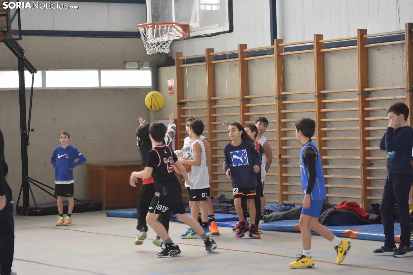 Jornada del Programa Regional de Detección de Talento de Baloncesto.