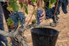 Foto 1 - Vi&ntilde;as Viejas apuesta por la elaboraci&oacute;n local como elemento diferenciador de las bodegas de la DO Ribera del Duero soriana