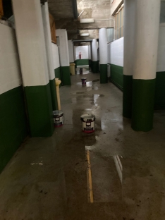 Foto 4 - Ultim&aacute;tum del rugby soriano: o hay campo el viernes o se cancela la cita internacional