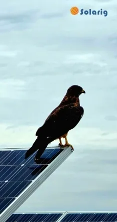 Foto 4 - Las Aldehuelas y el PEMA: escenarios ganadores del certamen de Solarig